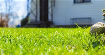 Irrigation and landscape