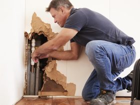 Water damage services in Greenville