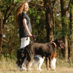 Glencadia Dog Camp: The Ultimate Canine Retreat for City Dogs