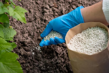 Fertilization Services