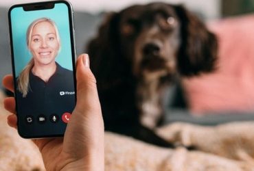 free vet chat online