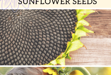 Bad companion plants for strawberries