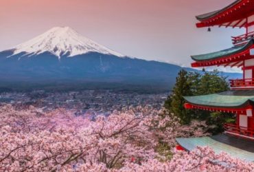 Tokyo sightseeing tour