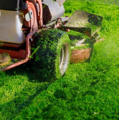 best lawn care services near me