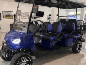 6-seater golf cart